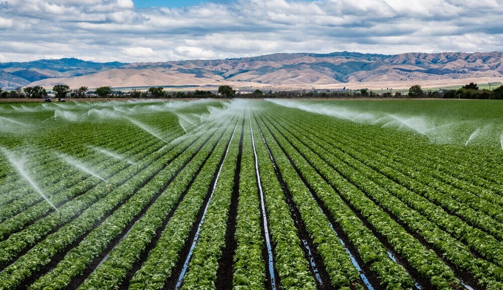 land-and-plot-services-in-hyderabad