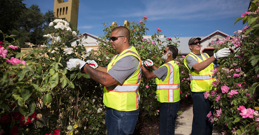 tile grounds and landscaping
